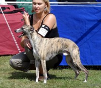/album/mvp-mlada-boleslav-25-8-2012/dsc08082by-vipetka-jpg/
